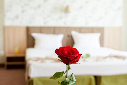 Economy Single Room - Free Parking