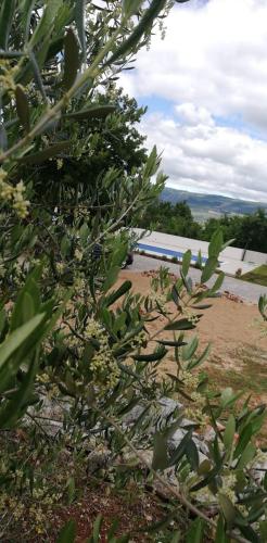 Villa Elizabeta near Imotski, private pool