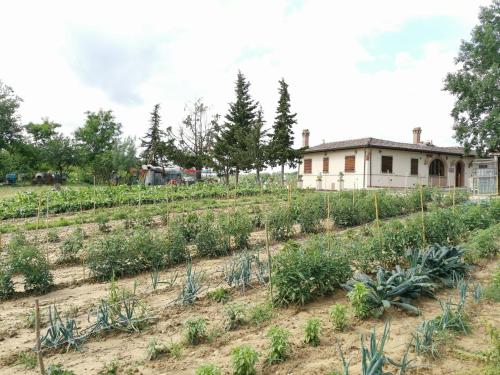 Masseria Le Querciole 3