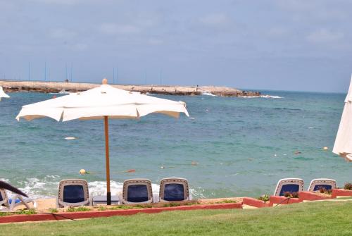 playa, TOLIP Hotel Alexandria in Alejandría