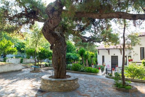 ILIOCHARI sea view apartments Oropos - Kalamos