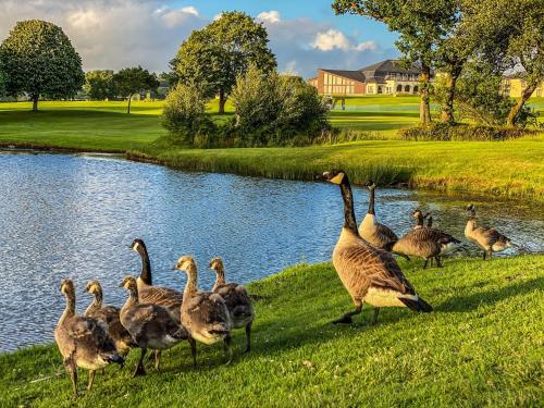 Lanhydrock Hotel & Golf Club - image 13