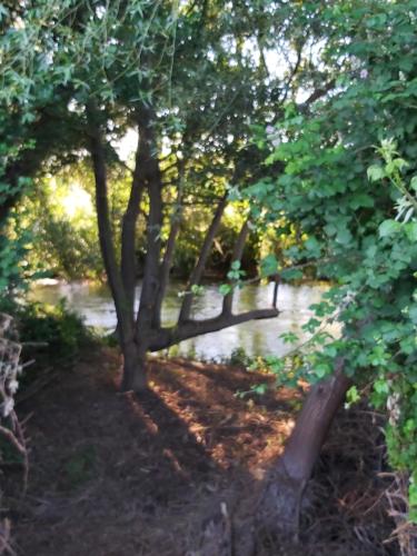 Bonita cabaña de los arboles en La Rioja , Durmiendo entre arboles