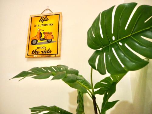 The PENT Duplex Cameron The PENT Duplex Cameron