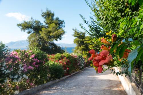 ILIOCHARI sea view apartments Oropos - Kalamos