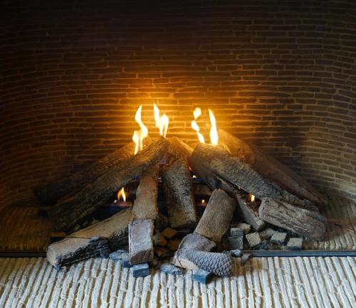 B&B Domaine du Vieux Chêne - main image