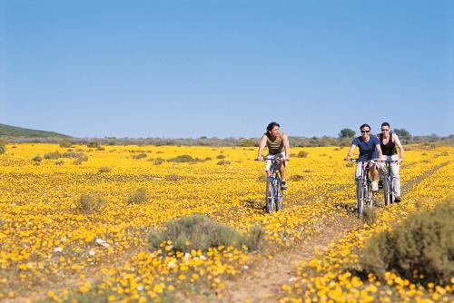 布什曼斯克卢夫荒野保护区及疗养酒店 布什曼斯克卢夫荒野保护区及疗养酒店