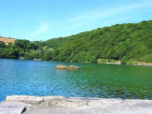 Rathmore House Bed & Breakfast - image 3
