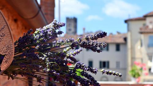 L'Iris B&B in Terrazza - image 14