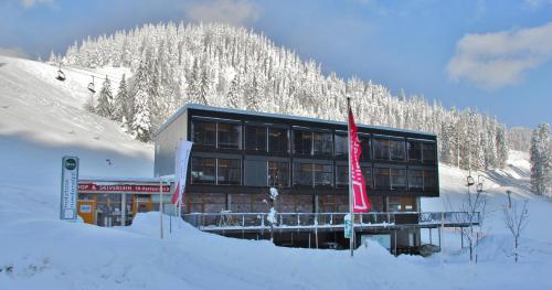 Holzbox Niederalpl - Accommodation - Mürzsteg