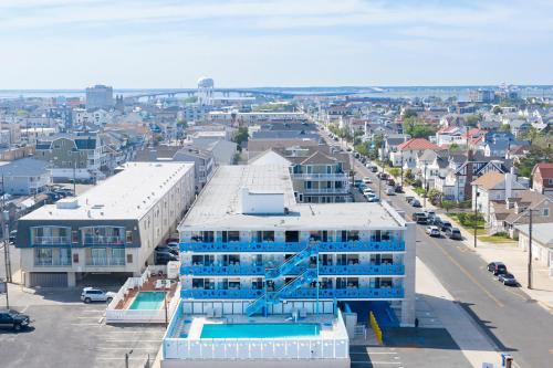 Ocean 7 - image 8