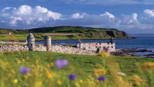 Ardaghmore Bed and Breakfast photo