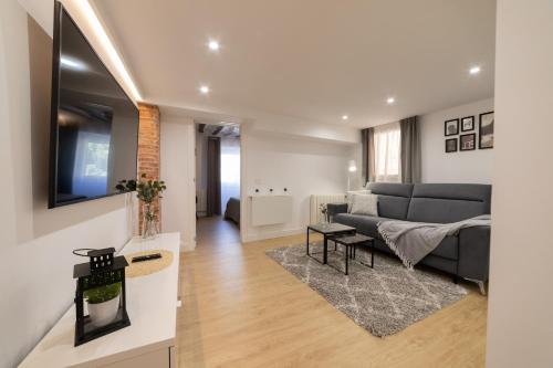 Apartamento Logrono Parlamento