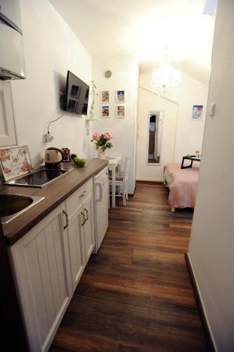 Mickey Mouse & Studio Mini Room Type - Studio