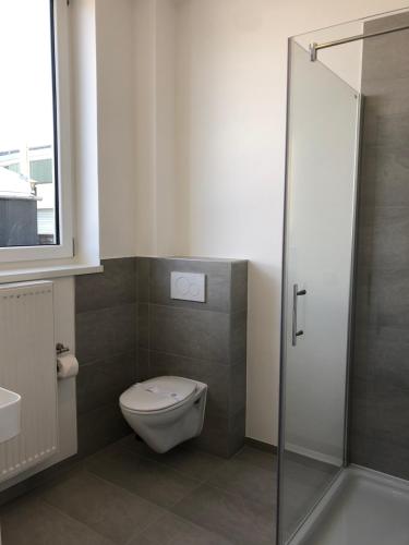 business & fitter Apartment, Нюрнберг (фото 7)