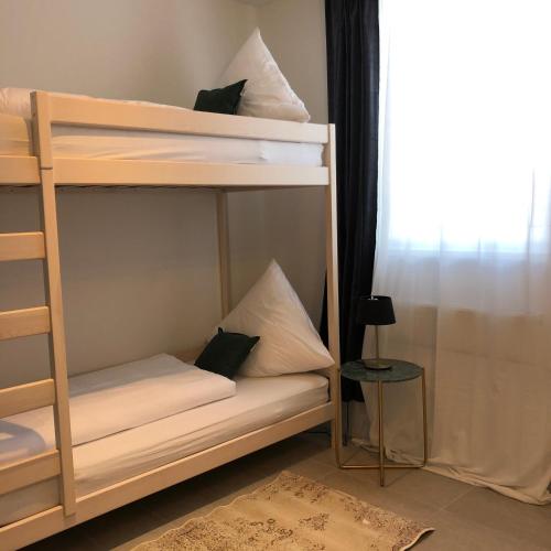 business & fitter Apartment 2.4km von Mississippi Queen entfernt