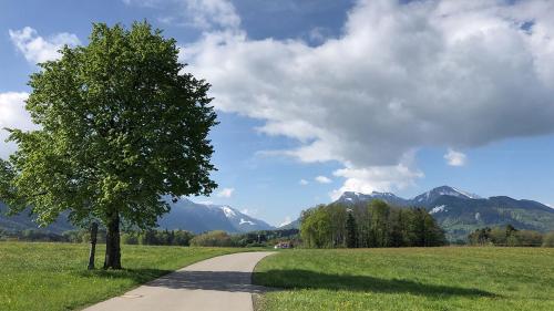 Ferienwohnung Florina