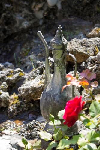 Guest house Blagaj - image 12