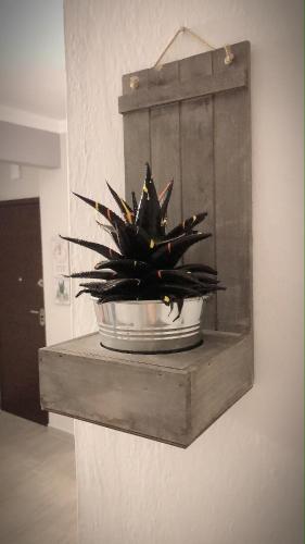 The green apartment
