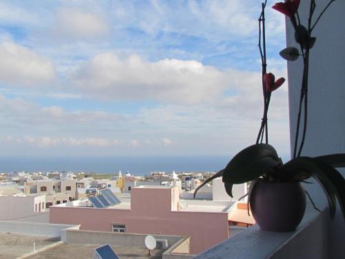 Cyclades Hotel - image 4