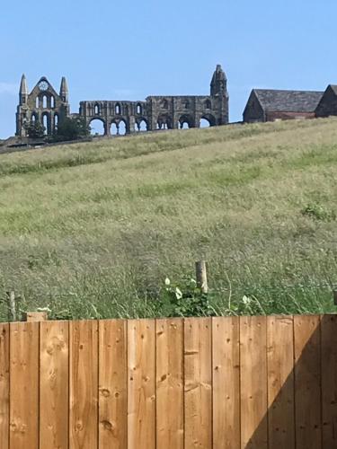 Abbey Field - Cyanacottages, Whitby (fotografie 7)
