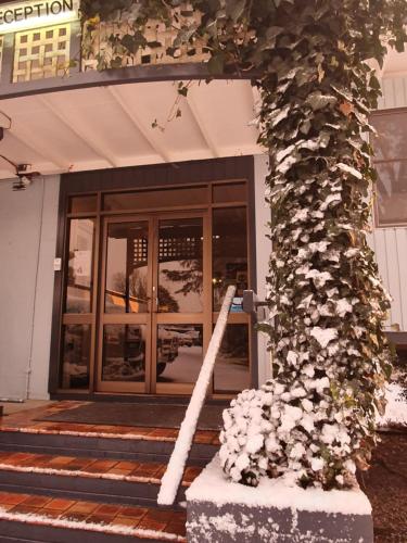 大廳, 招待所萊蒂齊亞飯店 (Sky Rider Motor Inn) in 藍山