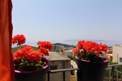 Aussicht, Apartments Pivac in Makarska