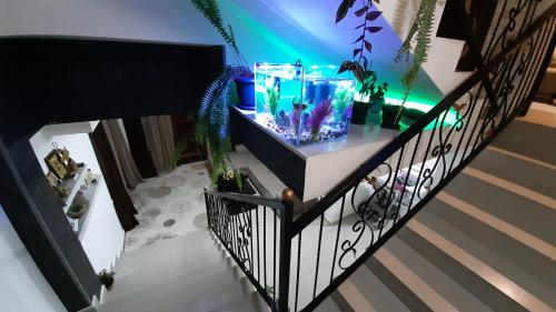 Balu in 科布列季