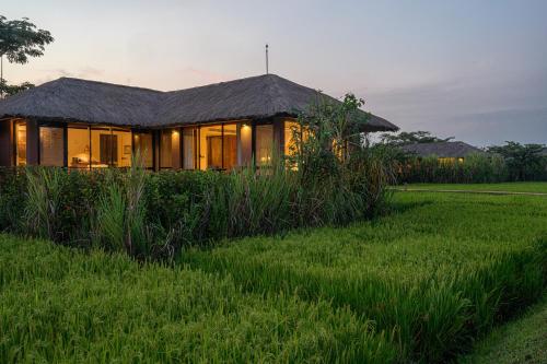 Superior Villa with Plunge Pool  room in Water Garden Sigiriya - 30 Chic Designed Private Villas Overlooking Sigiriya
