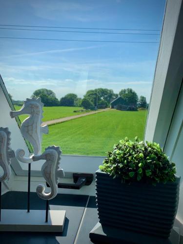 A szálláshely kívülről, Ferienhaus Casa Markus Kalkar in Kalkar