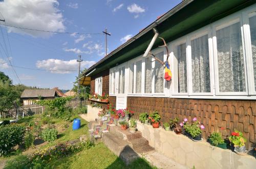 Iekārtas, Casa Marica in Čelau