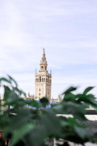 Alohamundi Catedral, Sewilla