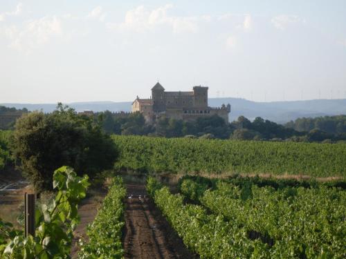 Hotel Rural Ocell Francolí