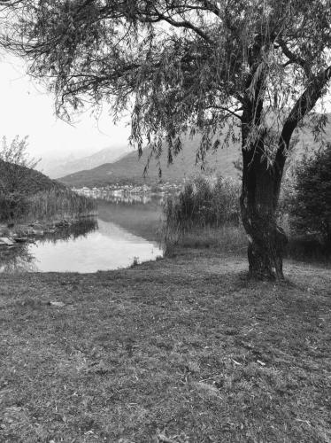 Tra la Stazione e il Lago