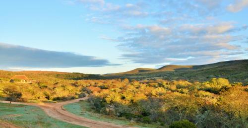 Garden Route Safari Camp