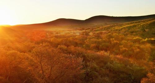 Garden Route Safari Camp