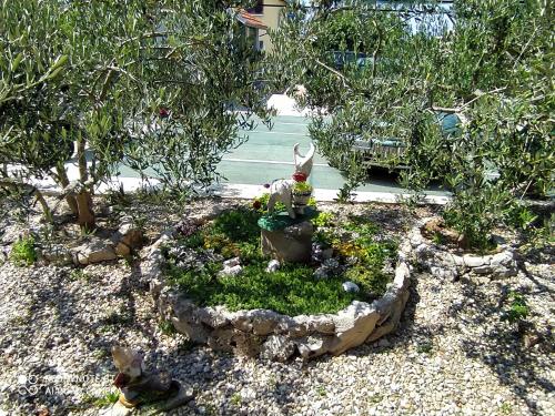 Apartments Ante - image 7