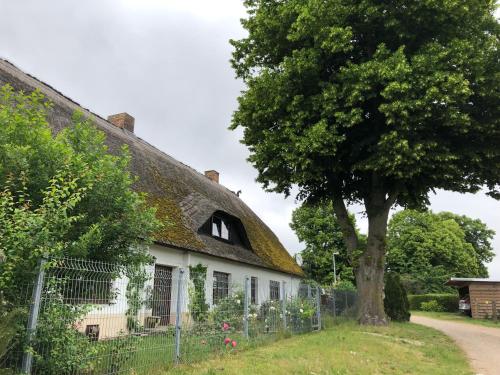 Ferienwohnung Landhaus