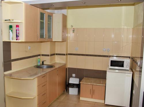 奧克戴亞一室公寓 (Orchideia Studios) in 桑丹斯基