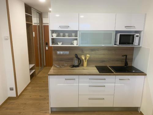 Wellness & Spa Apartments Lipno - Frymburk, Frymburk (photo 10)