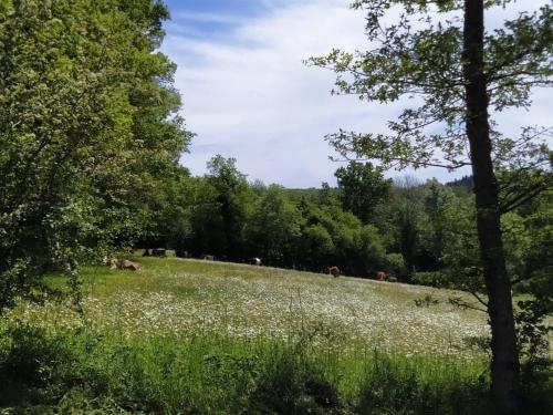 cararetro , caravane chauffée et climatisée