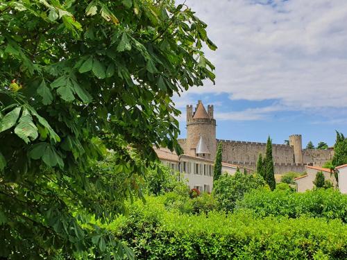 Les Jardins de la Majore - Location saisonnière - Carcassonne