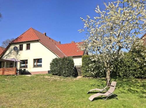 B&B Roggentin - Ferienwohnung Roggentin SEE 9072 - Bed and Breakfast Roggentin