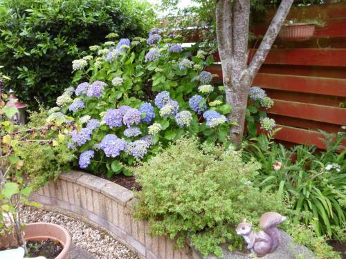 Abbots Way - image 2