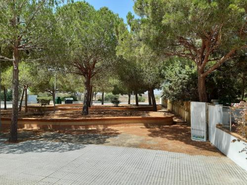 Hotel Marisma Sancti Petri - image 7