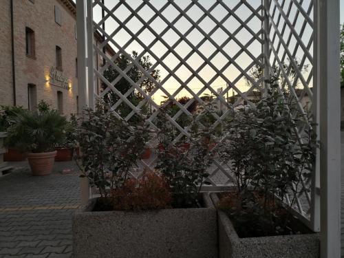 Hotel La Cantina