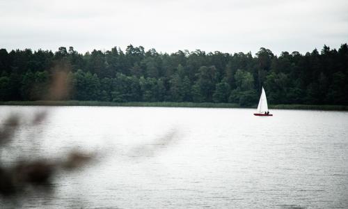 Zajazd Bombonierka - image 14