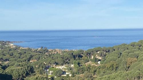 Villa with Magnificent Panoramic Sea View gîte à louer Sainte-Maxime