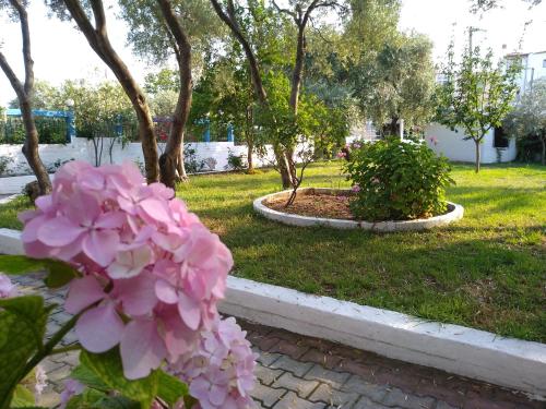 Makedonia - image 13