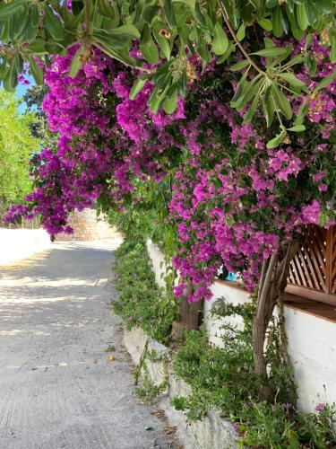 Patmos Villas